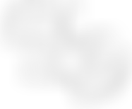 Brockenhurst Music Society | Charici