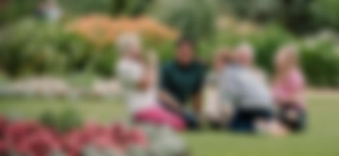 The Reader Organisation | Charici