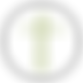 Eastleigh Baptist Church | Charici