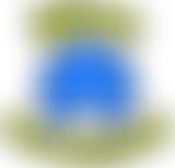 Jigsaw - Preschool (Western Wards) | Charici