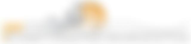 The Jerusalem Interest-Free Microfinance Fund Limited | Charici