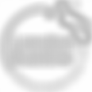 The Bubble Theatre Company Limited | Charici