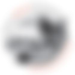 Animal Rescue Foundation Limited | Charici