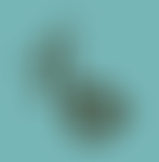 Richmond Opera | Charici