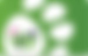 Barnsley And District Animal Welfare | Charici