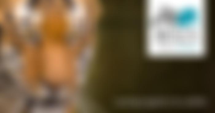 British And Irish Association Of Zoos And Aquariums | Charici