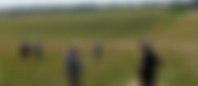 Southampton Natural History Society | Charici