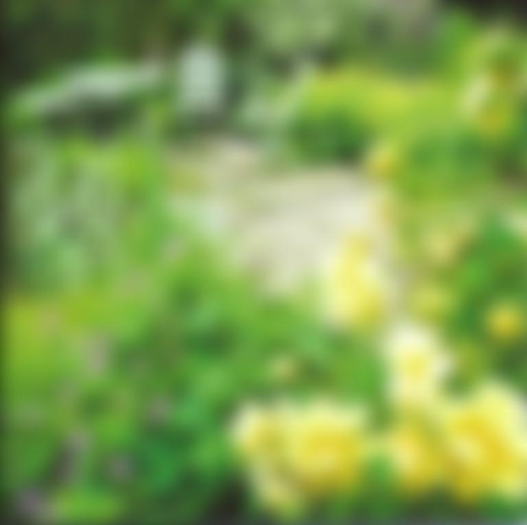 Friends Of Twigs | Charici