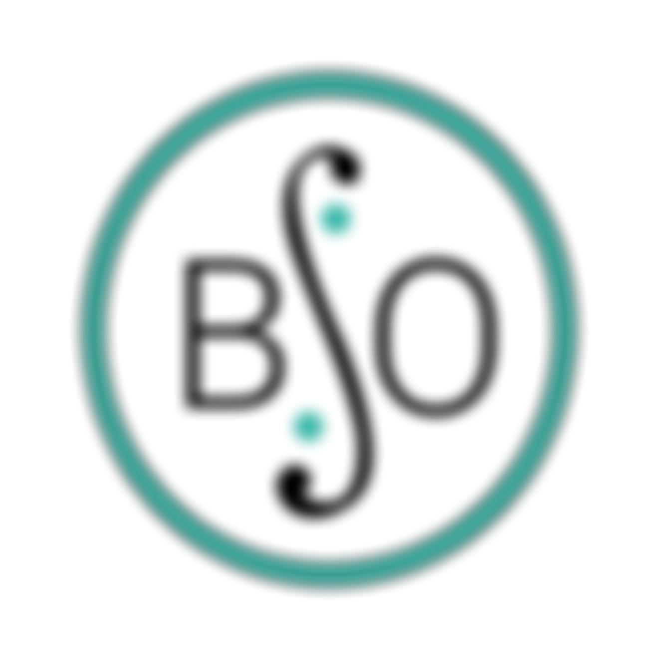 Basingstoke Symphony Orchestra | Charici