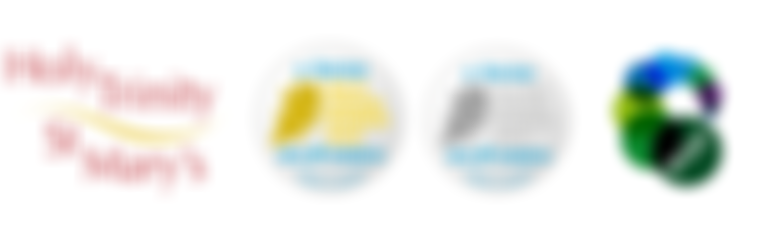 The Parochial Church Council Of The Ecclesiastical Parish Of Holy Trinity With Saint Mary | Charici