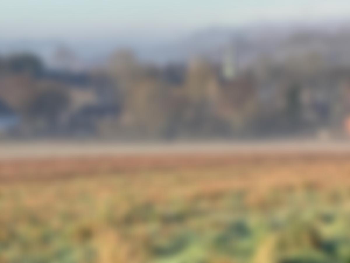 The Parochial Church Council Of The Ecclesiastical Parish Of Shalford In The Diocese Of Guildford | Charici