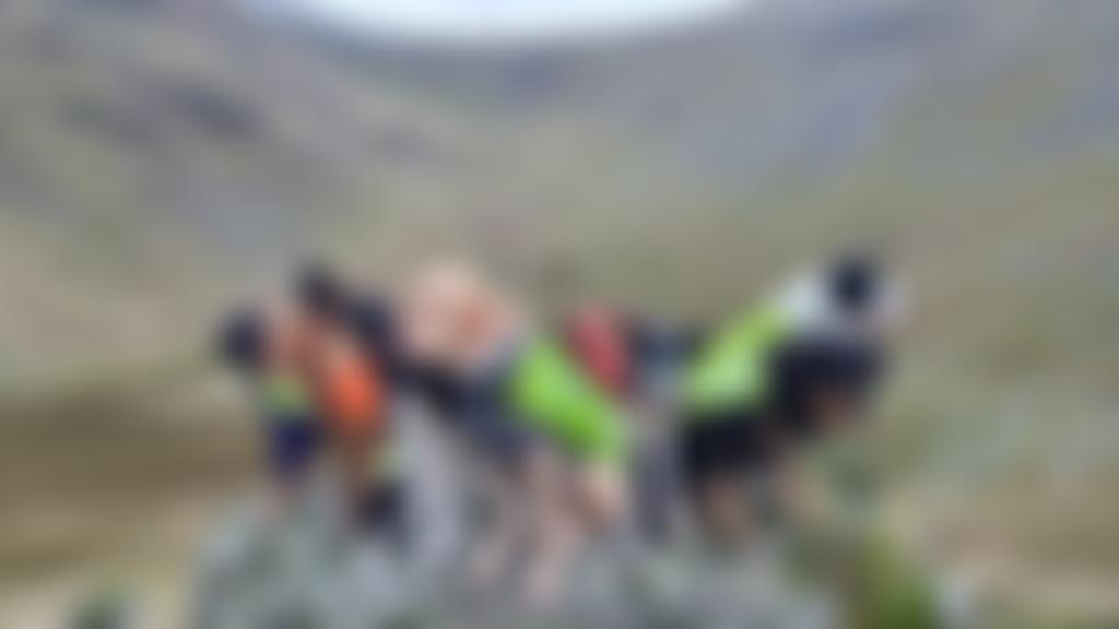 The Search And Rescue Dog Association (England) | Charici