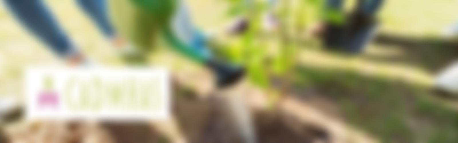 Conwy And Denbighshire Mental Health Advocacy Service Ltd | Charici