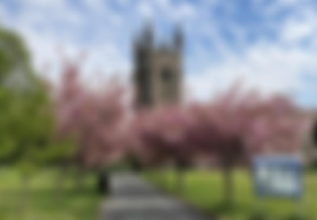 The Parochial Church Council Of The Ecclesiastical Parish Of St Mary The Blessed Virgin, Plympton | Charici