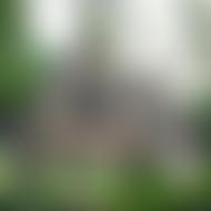 The Parochial Church Council Of The Ecclesiastical Parish Of St Peter Little Aston | Charici