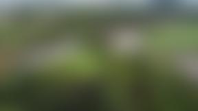 The Dell Parent Teacher Association | Charici