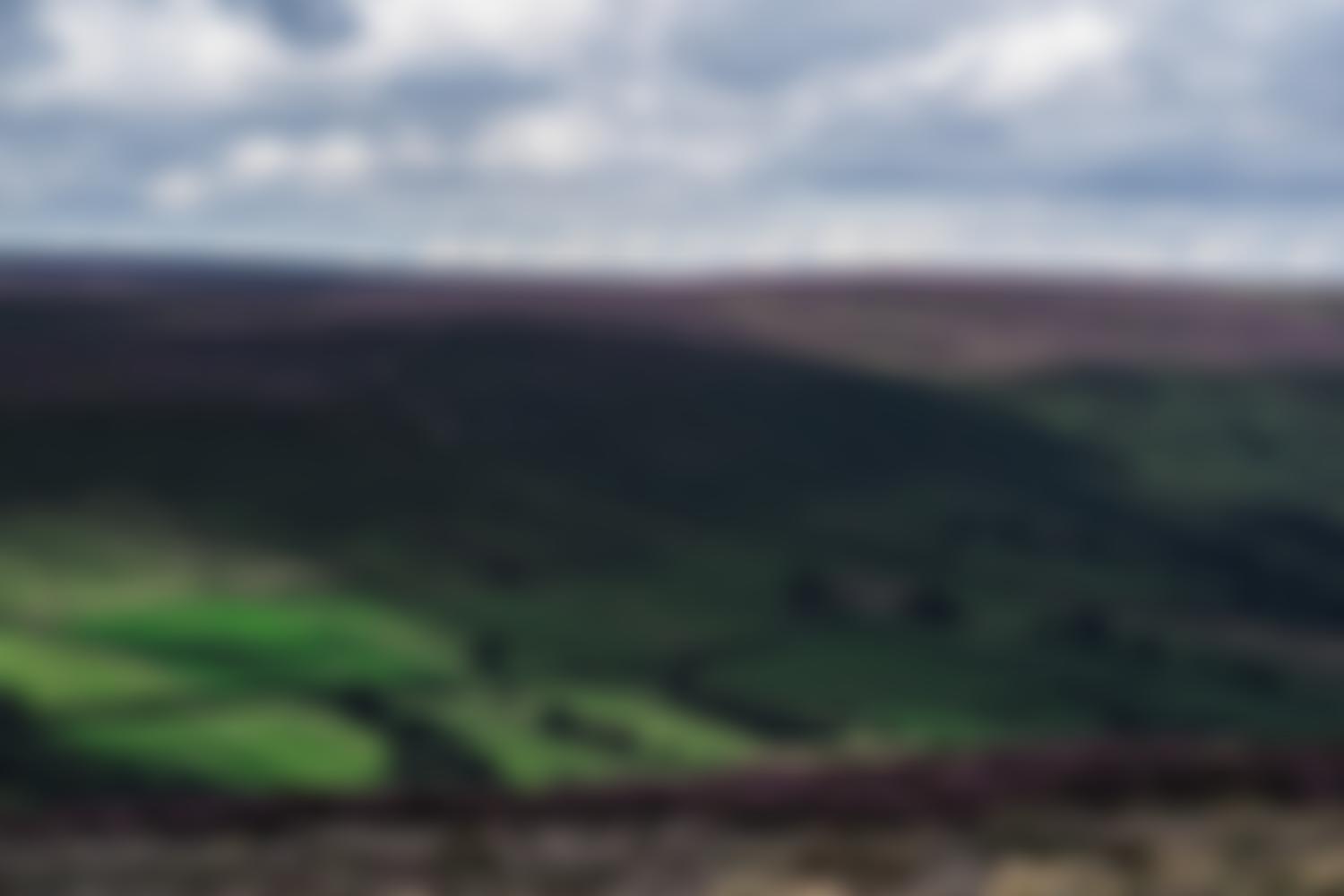 The North York Moors Chamber Music Festival Trust | Charici