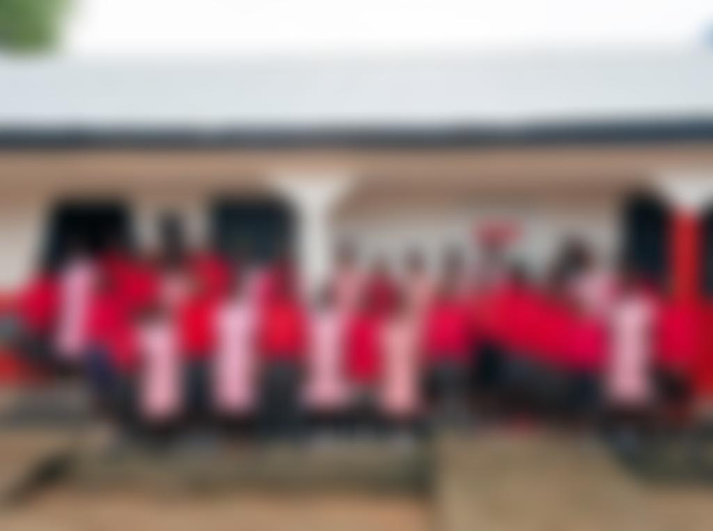 The David School Trust | Charici