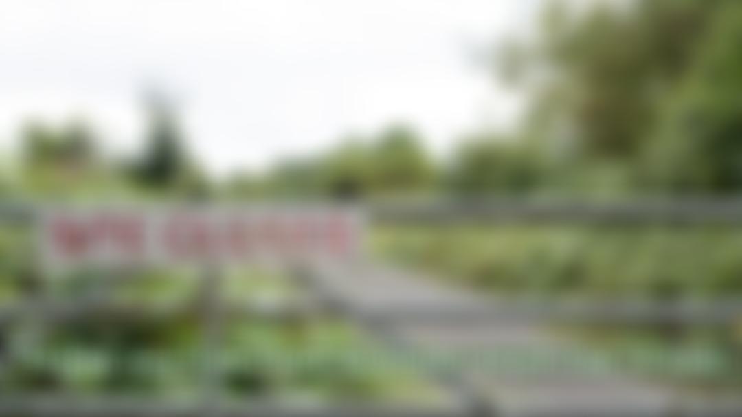 Surrey Community Music Society | Charici