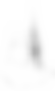 The Parochial Church Council Of The Ecclesiastical Parish Of St Stephen's, South Dulwich | Charici