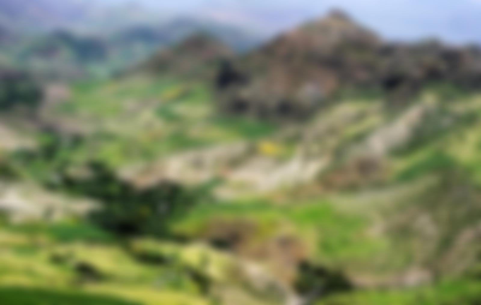 Ethiopia Education Aid | Charici