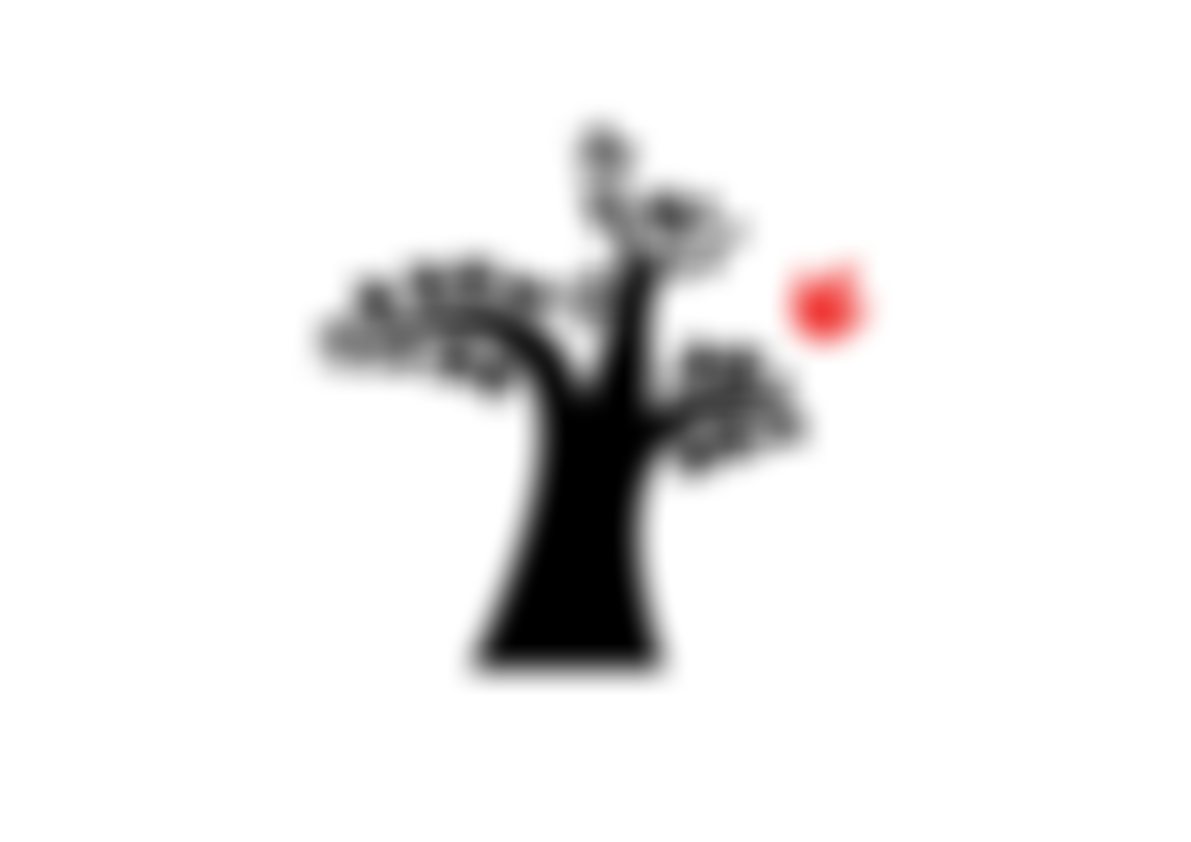 The Inspire And Achieve Foundation | Charici