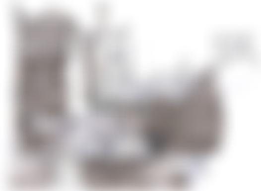 The Sudbury Society | Charici