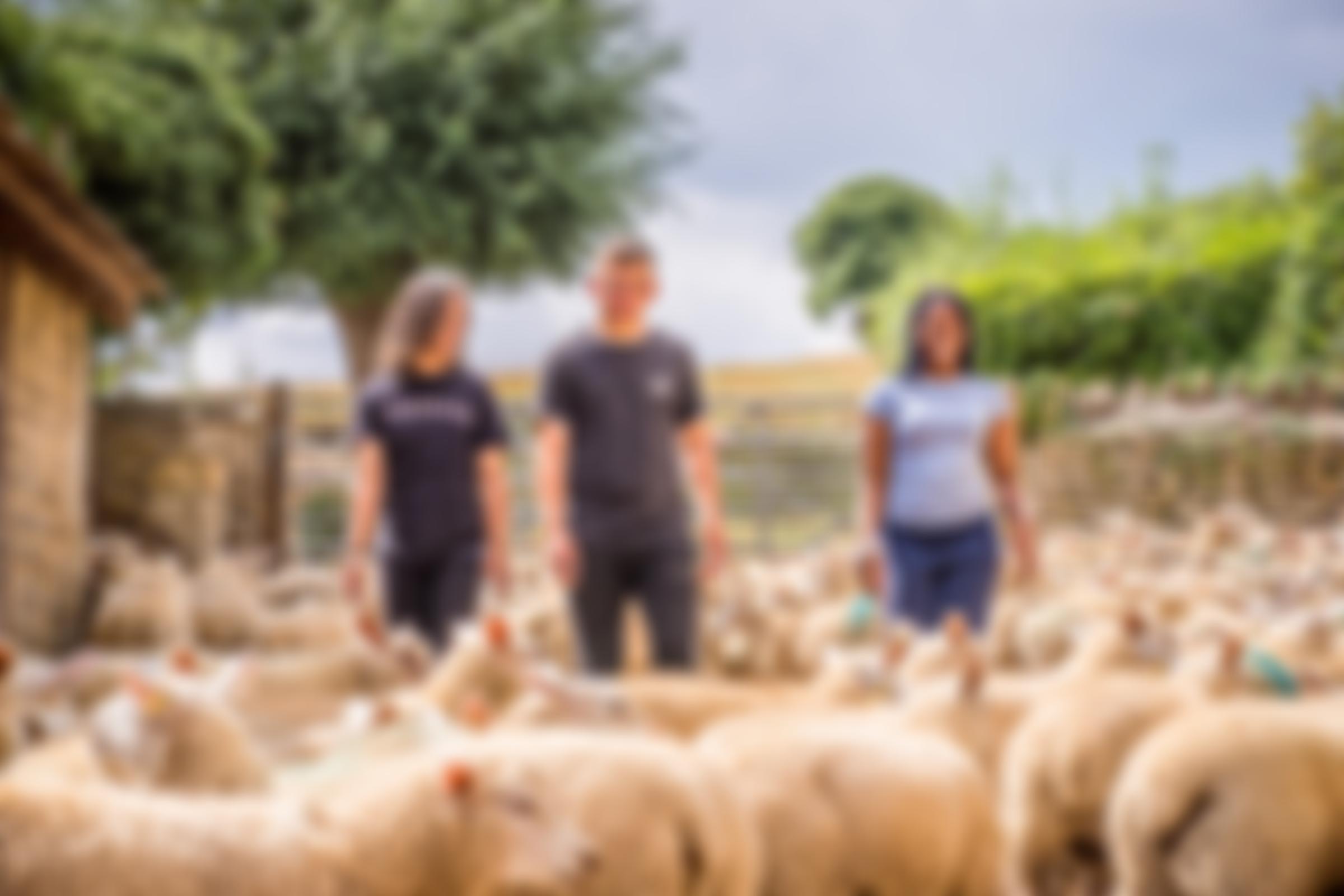 Jamie's Farm | Charici