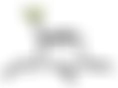 Hope Fountain International | Charici