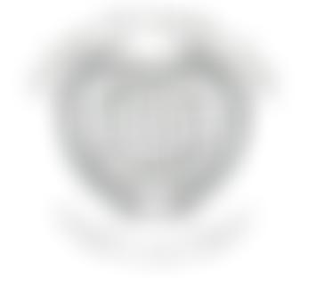 Organisation For Rehabilitation Of Handicapped Sri Lanka | Charici