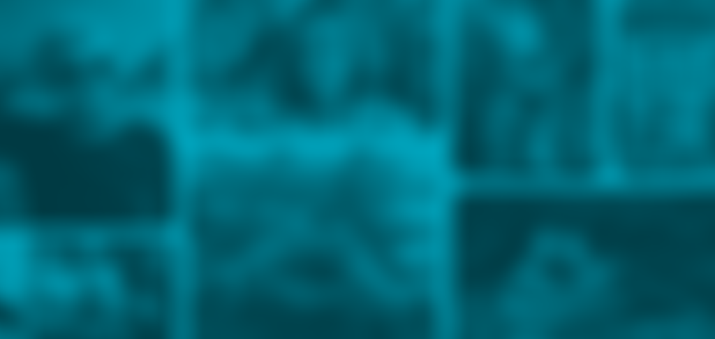 Lgbtq+ Project | Charici