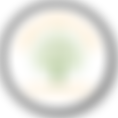 Fairfield Friends Association (Primary School, Stockton-On-Tees) | Charici