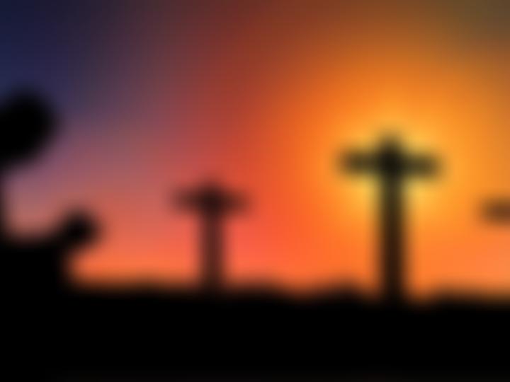 Leicester Trinity Methodist Circuit | Charici