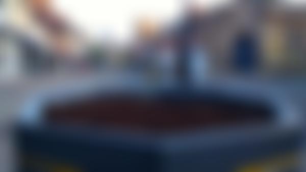 Wimborne In Bloom | Charici