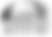 Stroud Valleys Canal Company | Charici