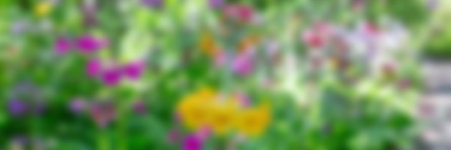 The Fairhaven Garden Trust | Charici