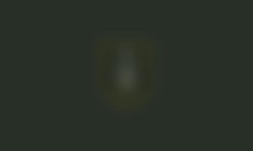 Devonport High School For Girls Parent, Teacher And Friends Association | Charici