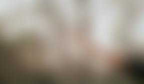 The Parochial Church Council Of The Ecclesiastical Parish Of South Hornchurch St John & St Matthew | Charici