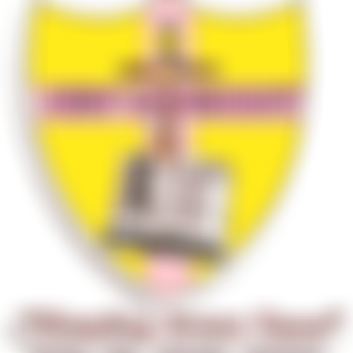 New Covenant Cherubim & Seraphim Movement Church | Charici