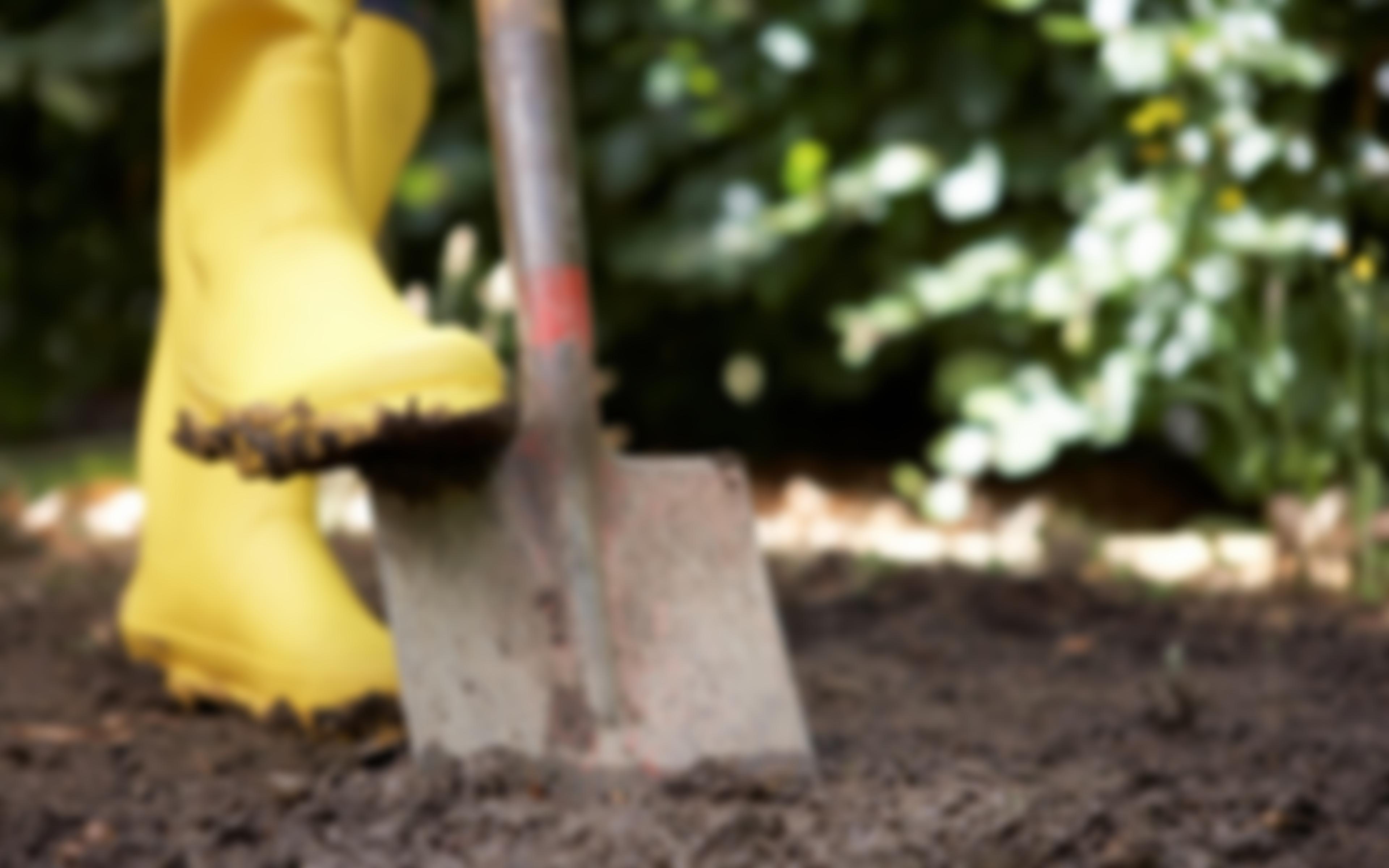 Oak Hill Community Nursery | Charici