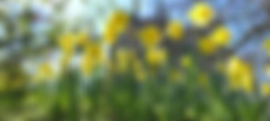 The Parochial Church Council Of The Ecclesiastical Parish Of All Saints Stand | Charici