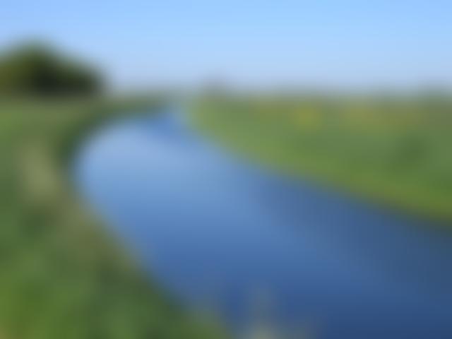 Dr Punsfer's Gift | Charici