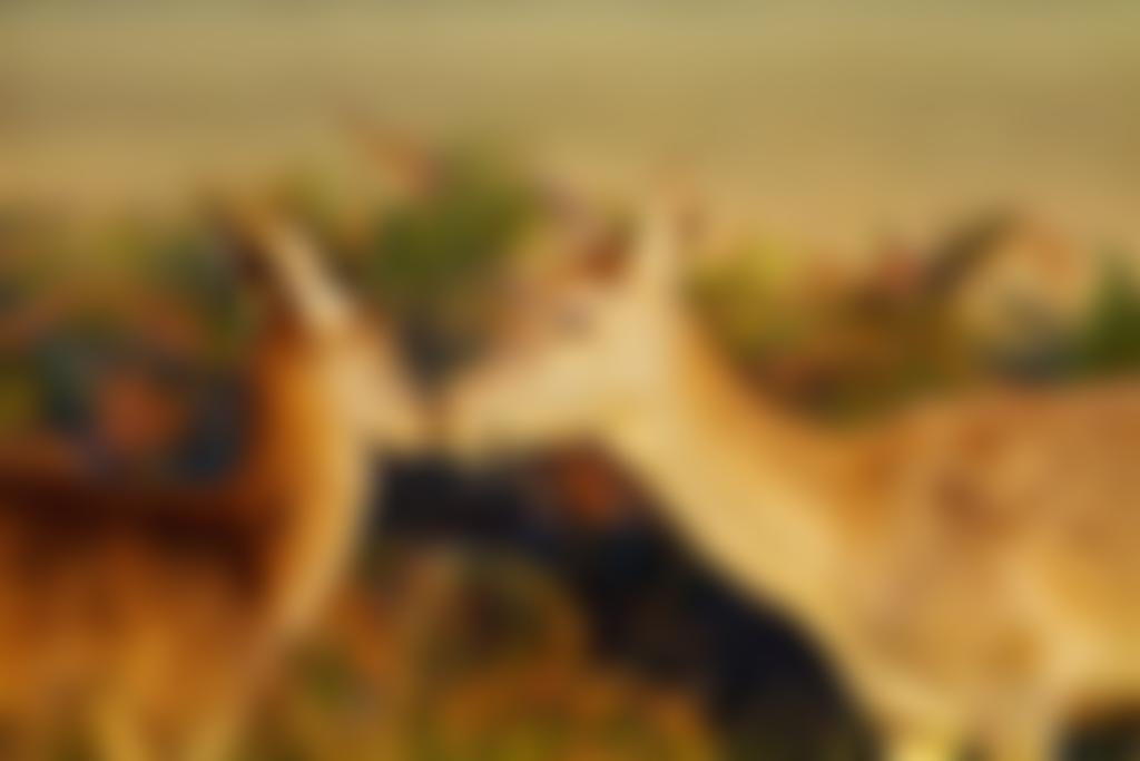 The Lonsdale Trust | Charici