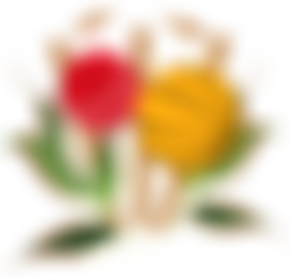 Belvoir Education & Sports Trust Ltd | Charici