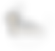 The Parochial Church Council Of The Ecclesiastical Parish Of St. Mary Magdalene Church, Peckham | Charici