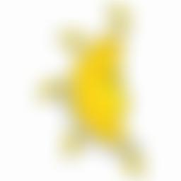 Caribbean New Frontier Foundation | Charici