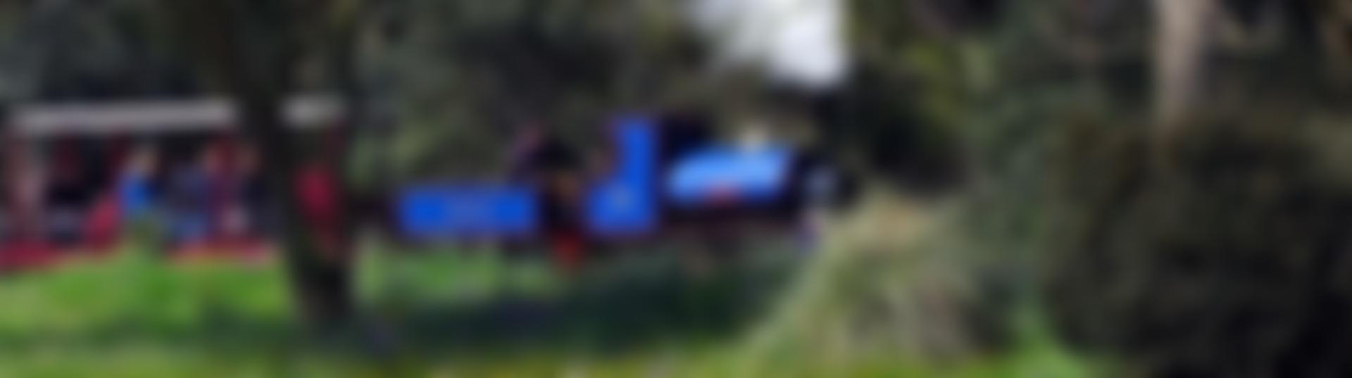 Bressingham Steam Preservation Company Limited | Charici