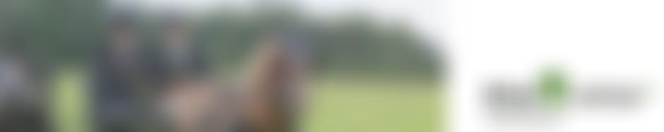 Kipling County Carriage Driving Group Rda | Charici