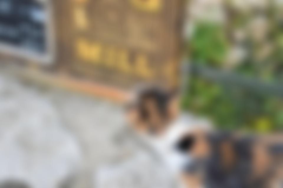 Heron Corn Mill (Beetham) Limited | Charici