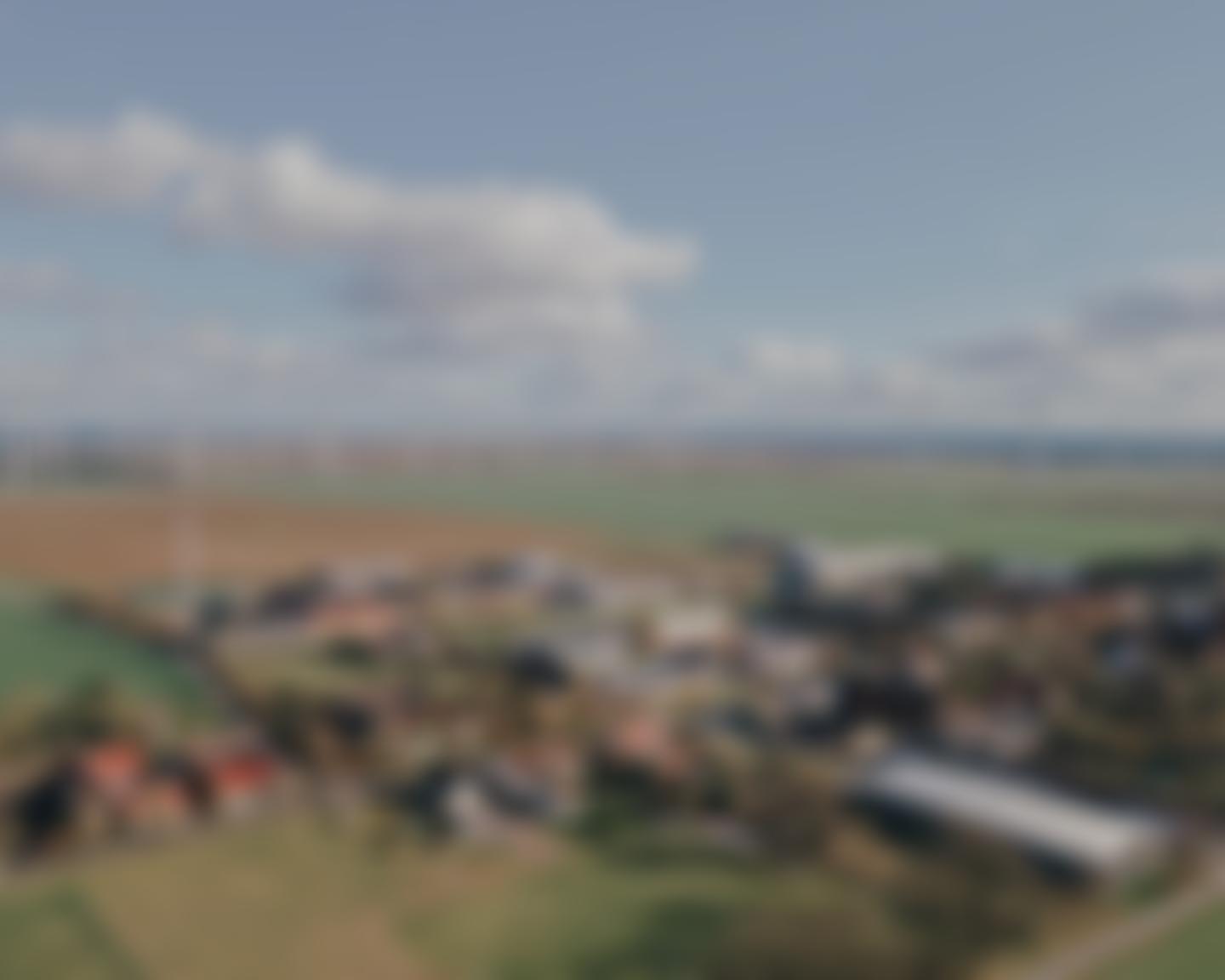 Institute For Human Rights & Business Limited | Charici